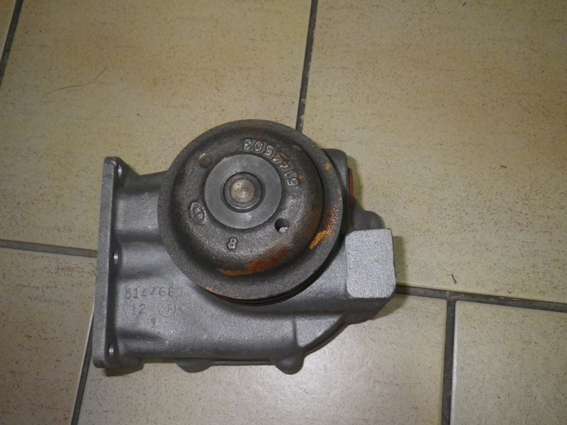 Wasserpumpe Gama Goat M561